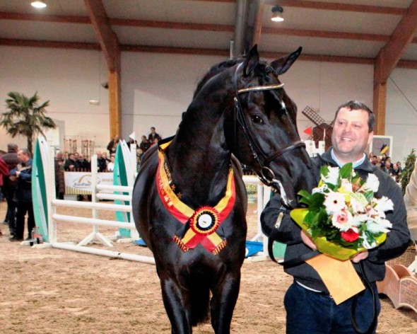 I'm Special de mUze big black sire