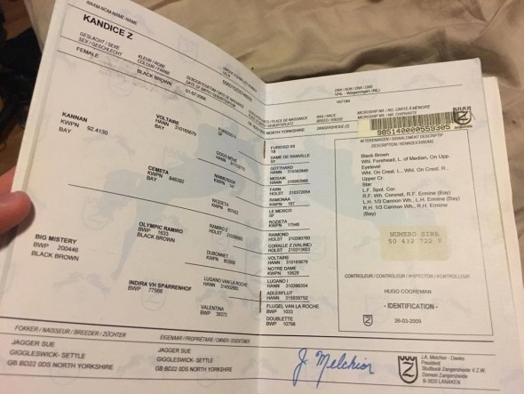 Kandice passport