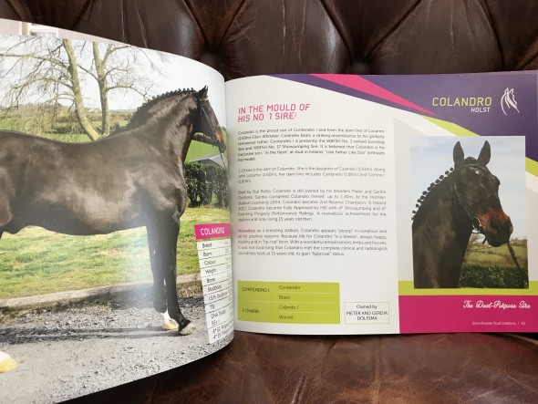 colandro brochure