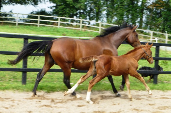 Lucie and Polly running
