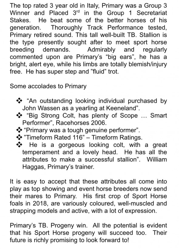 PRIMARY STAT 4