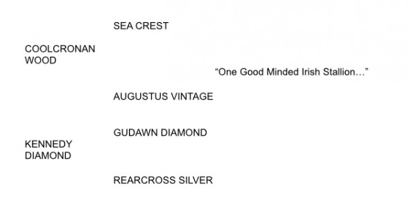 dunsandle pedigree text