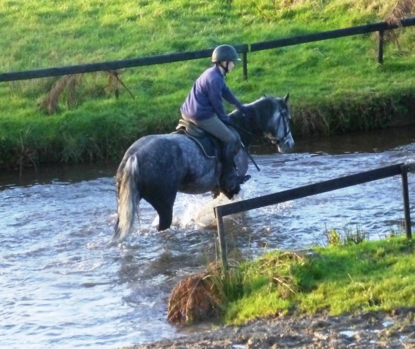 RGS in water at Eric Pele's