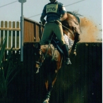Ringfort Rara Ruby At Water Jump at Tattersalls..