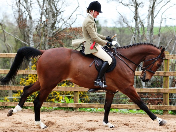 ringfort rubicon winning at mill yard