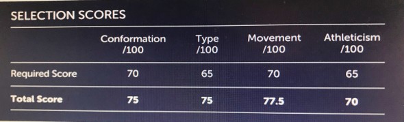 Silver Squire results