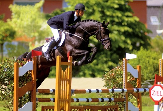 CORMINT JUMPING
