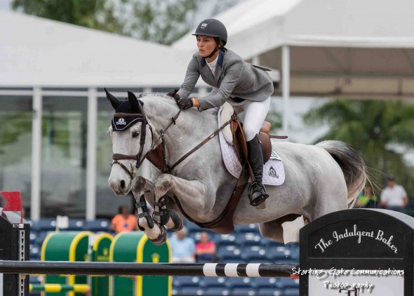 Dublin by Cobra 18 by Cornet Obolensky out of Ramiro Z mare