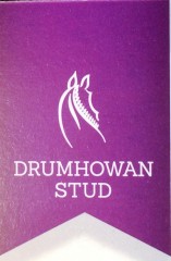 drumhowan logo