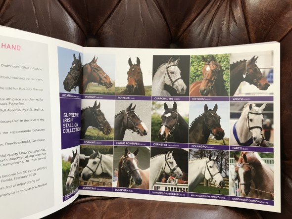 all the stallions roster