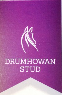logo Drumhowan