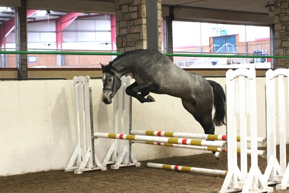 jumping four year old