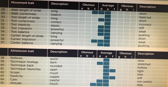 second report selection panel