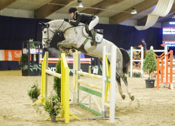 E-Star sire of J. Reach for the Stars