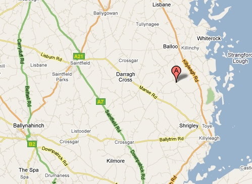 Ringfort Stud, Sport Horse Stud, County Down