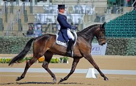Fischer Rocana