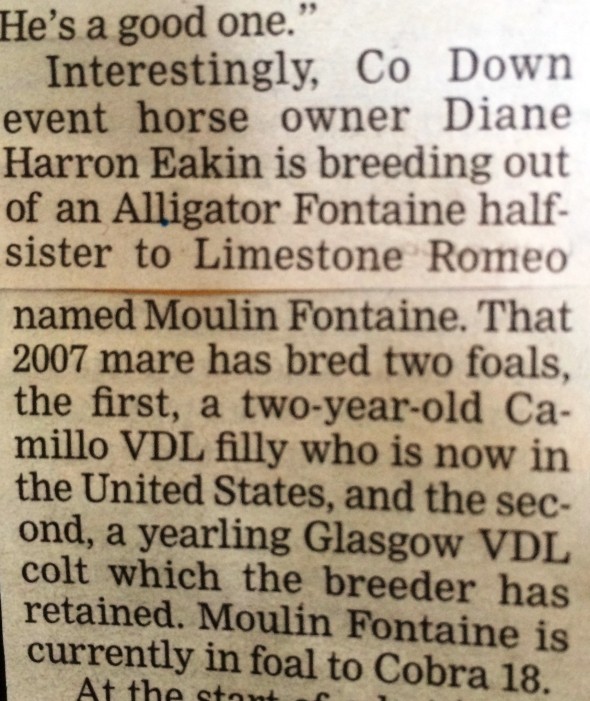 Polly half-brother Irish Field