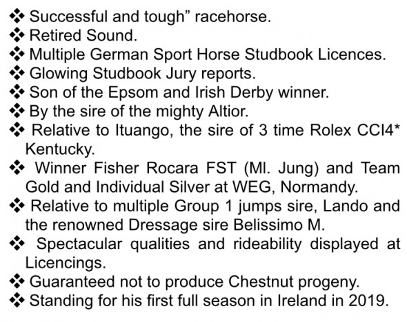 lucarelli stats thoroughbred