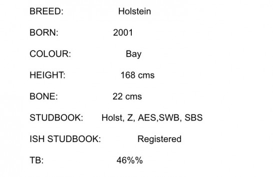 cristo stats 3