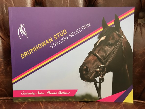 brochure stud