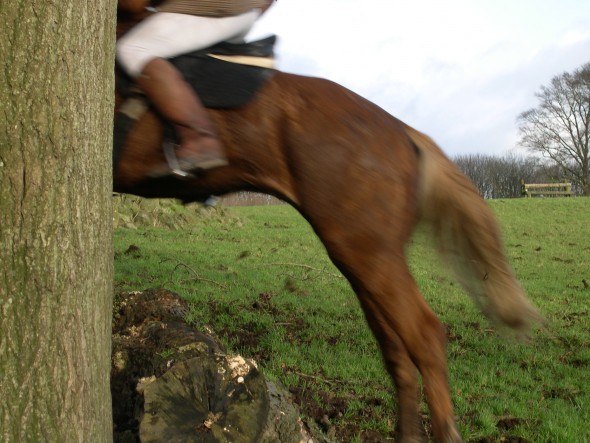 hunt