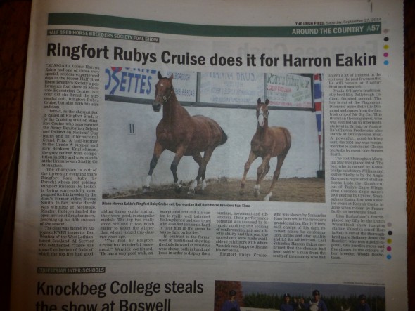 Harold winning Irish Field