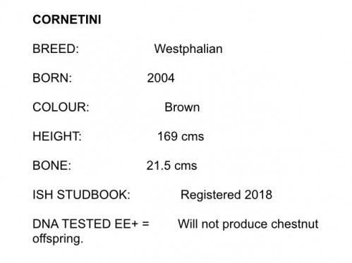 cornetini text