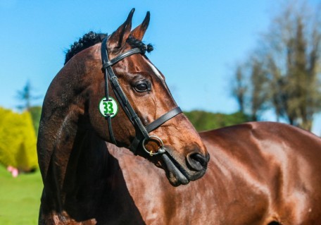 VITTORIO pic