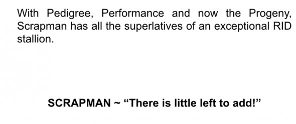 scrapman new text 6