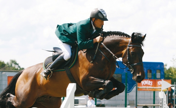 Warrenstown U2 bred at Ringfort Stud