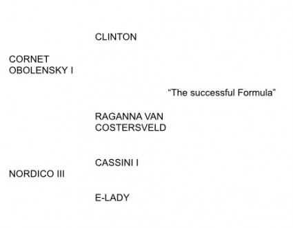 cornetini text