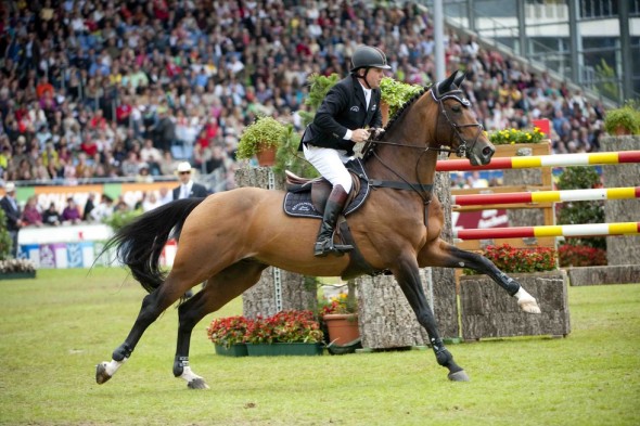 Big Star out of Guidam mare