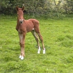 3 days old