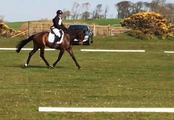 Izzietop dressage