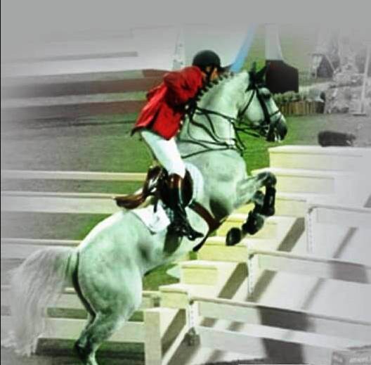 Parco jumping