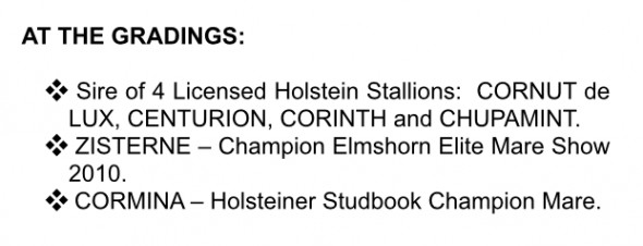 cormint stat 5