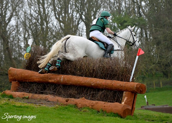 Beautiful Grey mare Birches Drop