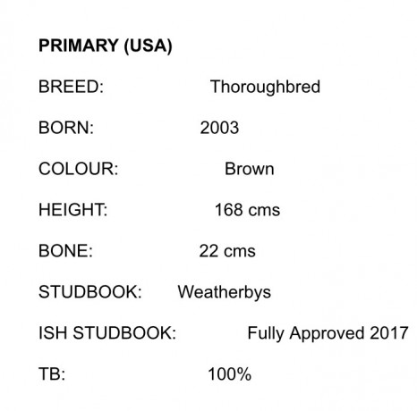 primary stats 1