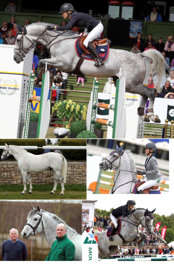 Corporal collage VDL