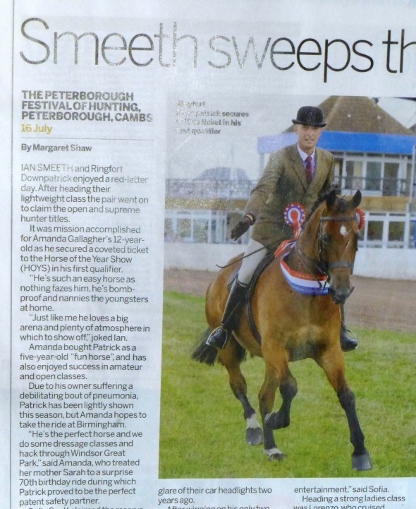 Ringfort Downpatrick Horse and Hound