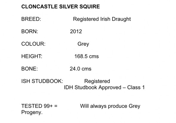 cloncastle silver squire text
