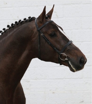 Scrapman 1 sire