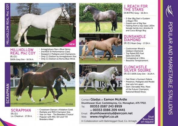 DS stallions 4 final page