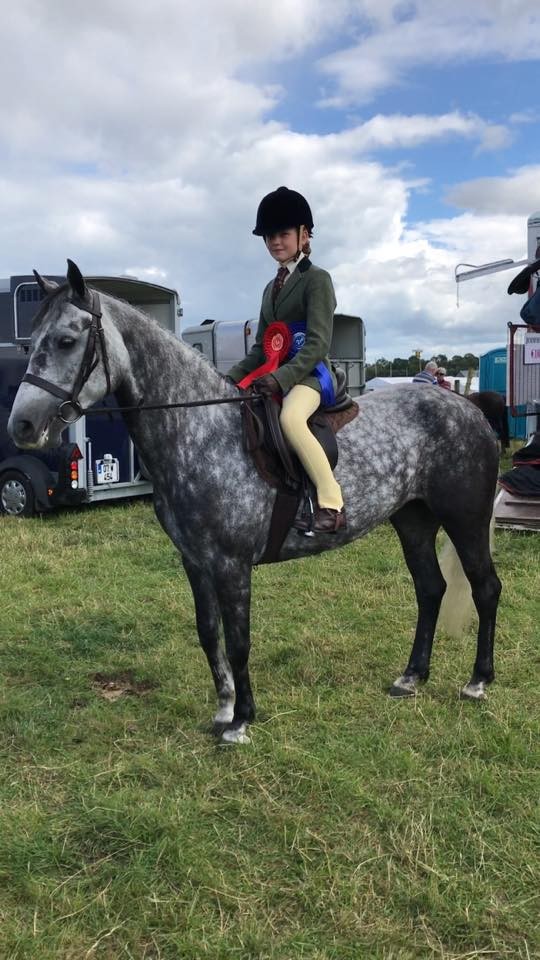 nadine rosettes