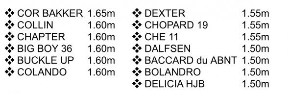 colandro stats