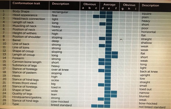 selection panel results