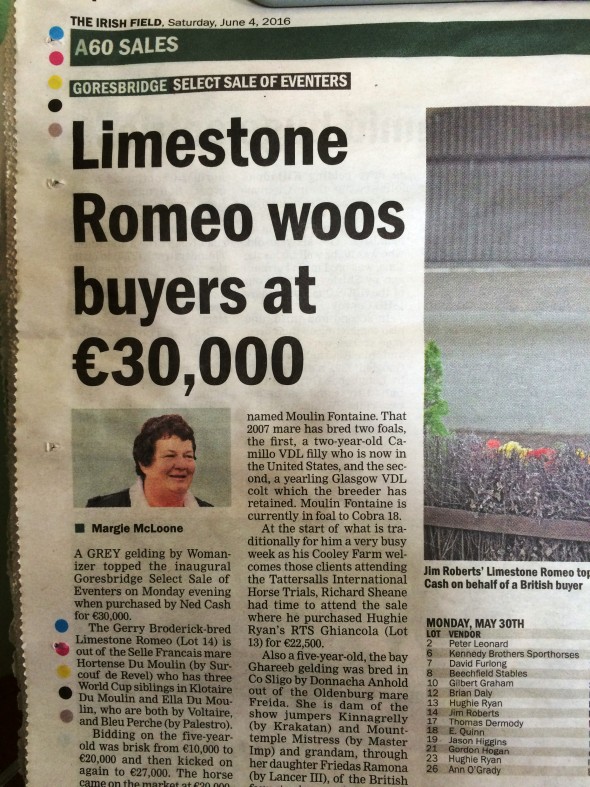 Irish Field Limestone Romeo