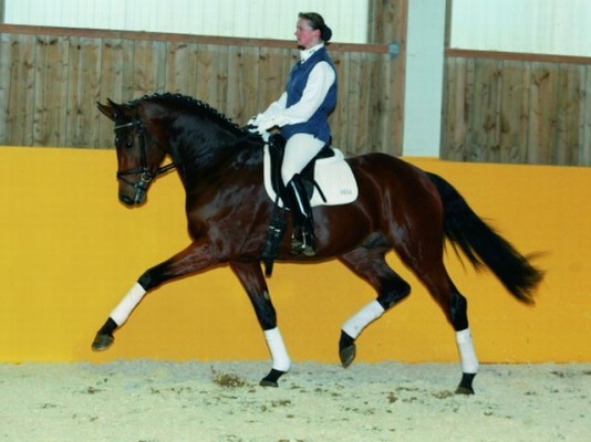 Royaldik sire