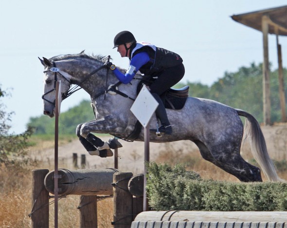 Carragheen jumping well