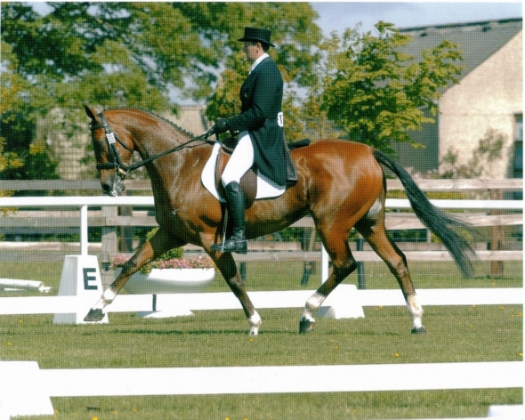 Ringfort Rara Ruby Competing inthe dressage element at Tattersalls Internation Event
